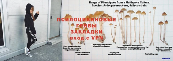 jwh Шарыпово