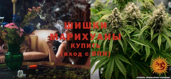 дмт Армянск